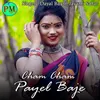 Cham Cham Payel Baje